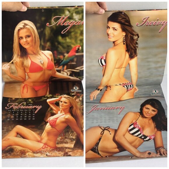 NEW Miami Dolphins Cheerleaders Discovery Cove 2008 2009 Sixteen Month Calendar - Picture 11 of 16